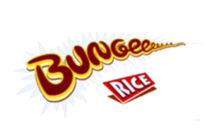 bungee_rice_logo